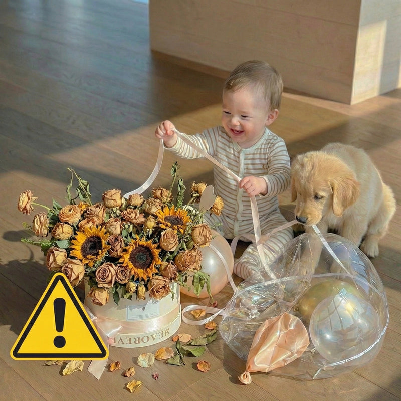 Safety