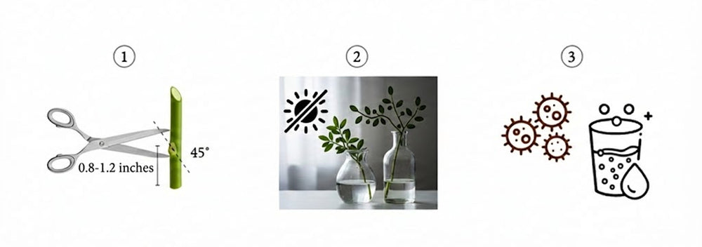 Bouquet Care